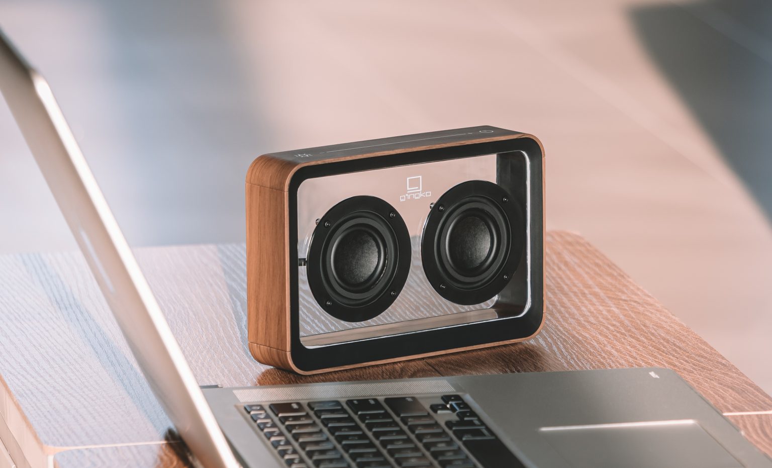 Gingko Mage See  - Through Bluetooth Højttaler